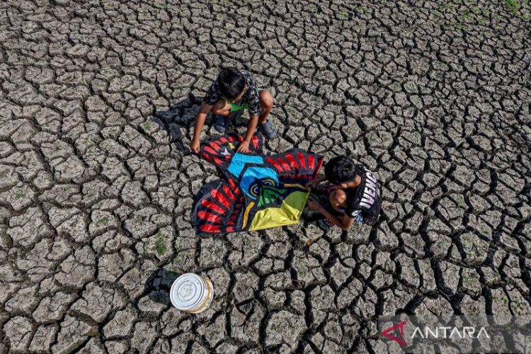 Waduk Sumberkepuh mengering, sekitar 400 hektare lahan pertanian kekurangan air di Nganjuk