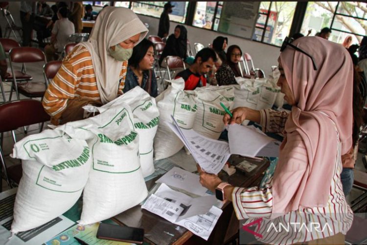 NEXT: Pemerintah perlu pastikan sebaran pasokan beras sesuai kebutuhan