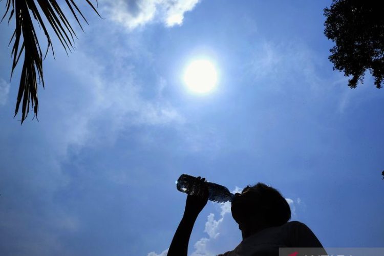 Kafein hingga minuman manis berisiko picu dehidrasi saat cuaca panas