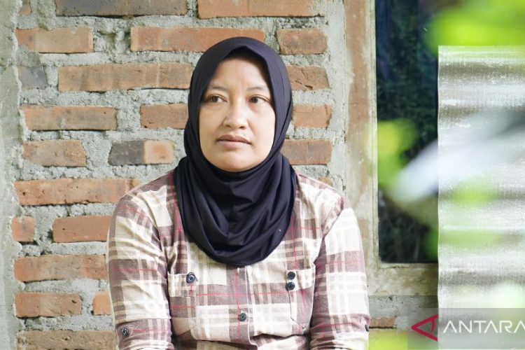 Relawan SPPG di Kulon Progo dapat penghasilan tetap berkat MBG