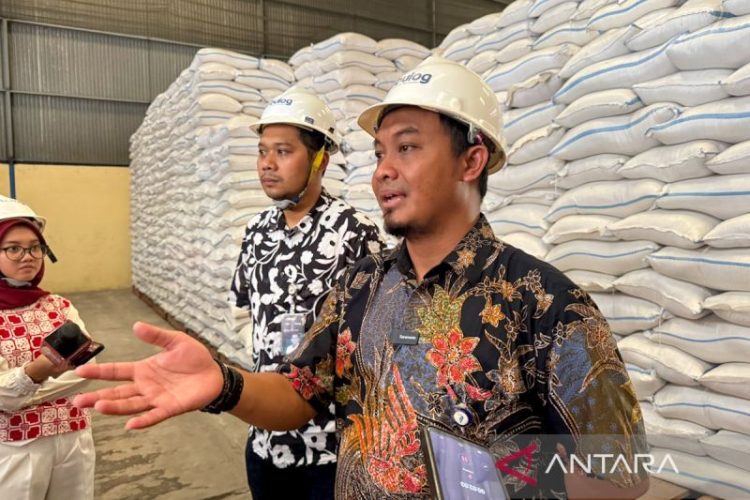 Bulog siap distribusi beras via Koperasi Merah Putih di Semarang