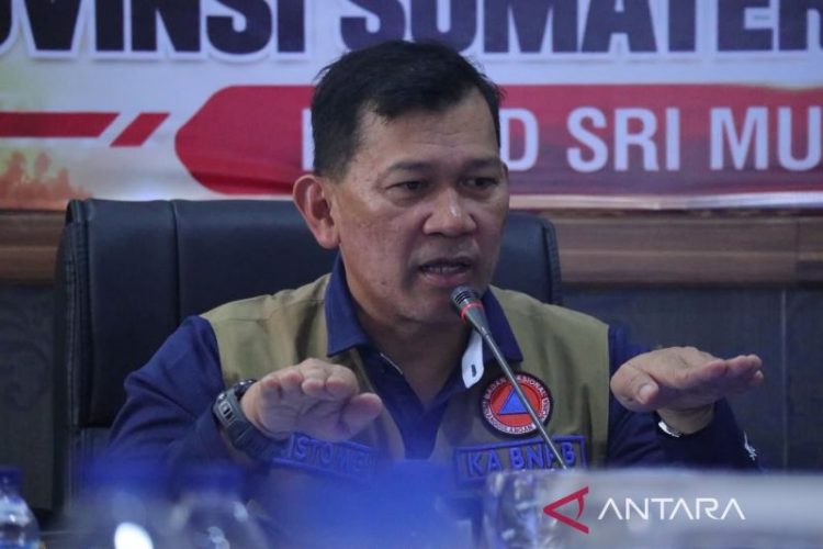 Kepala BNPB dan Kasad pacu percepatan pemadaman karhutla di Kalteng