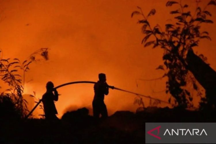 Pakar: Kepastian hukum dan pencegahan perlu didorong untuk atasi karhutla
